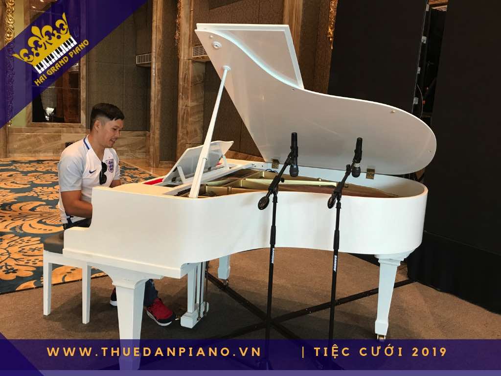 thue dan piano gia re 31_001