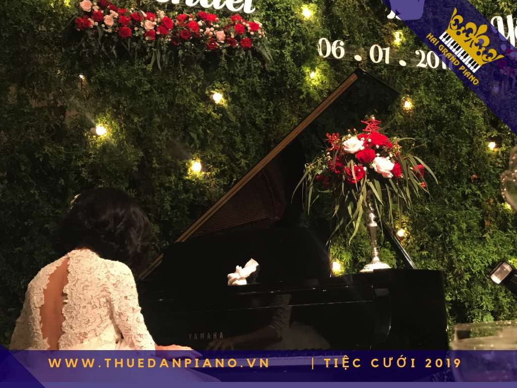 thue dan piano gia re 6_001