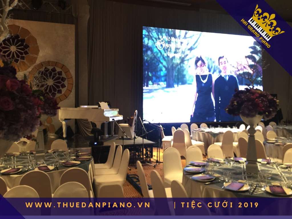 thue piano tiec cuoi cao cap_002