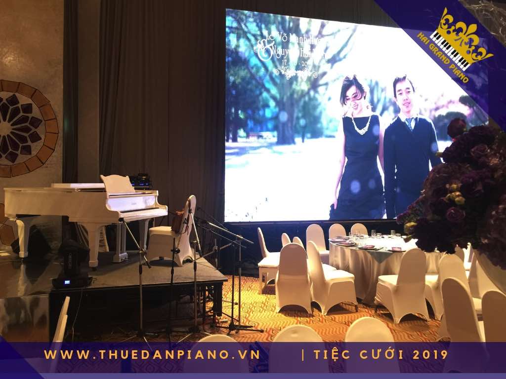 thue piano tiec cuoi cao cap_003