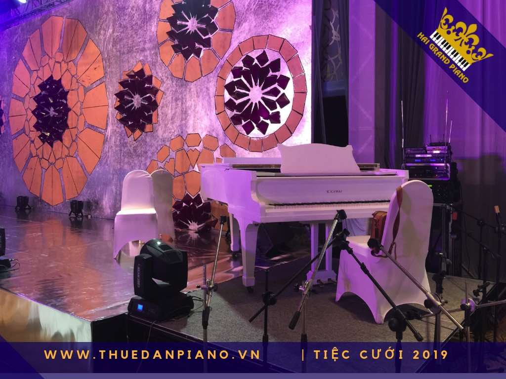 thue piano tiec cuoi cao cap_004