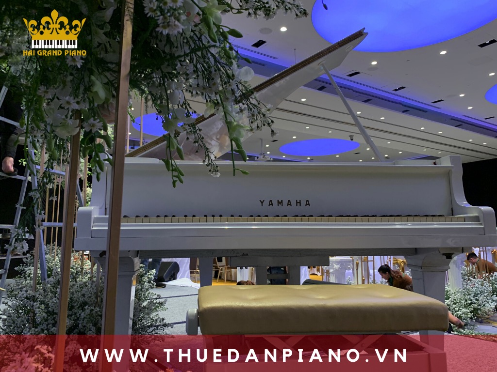 thue-piano-tiec-cuoi