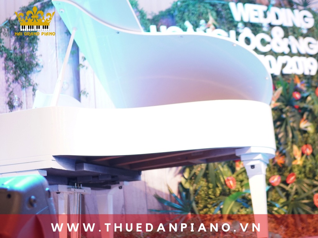thue-piano-grand-wedding_002