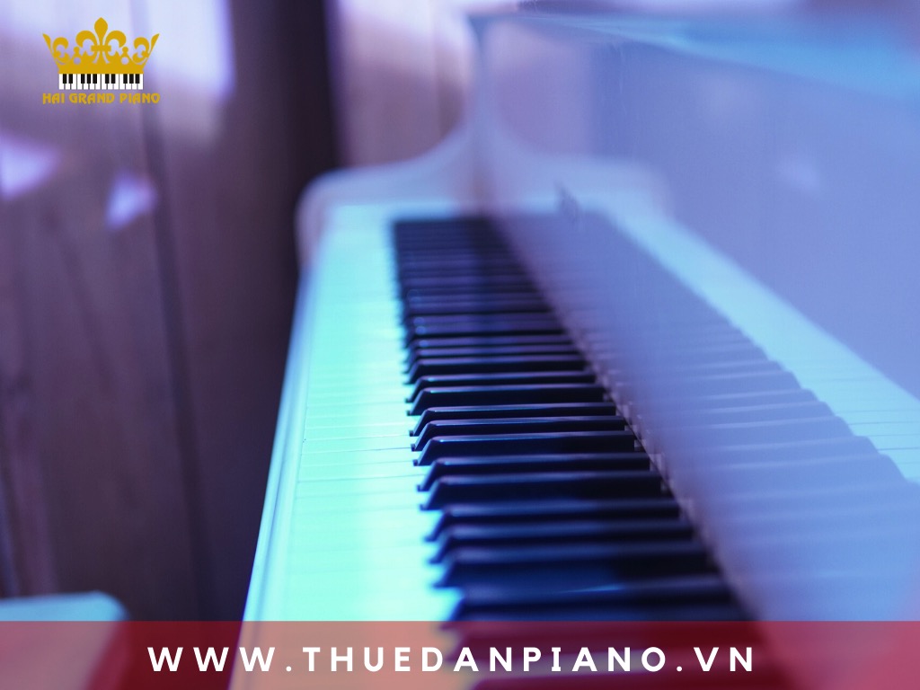 thue-piano-grand-wedding_004
