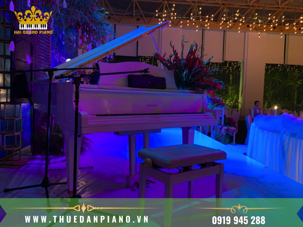 THUE-DAN-PIANO-BIEU-DIEN-EVENT_003