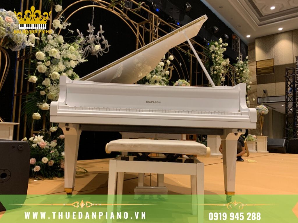 thue-piano-tiec-cuoi-3