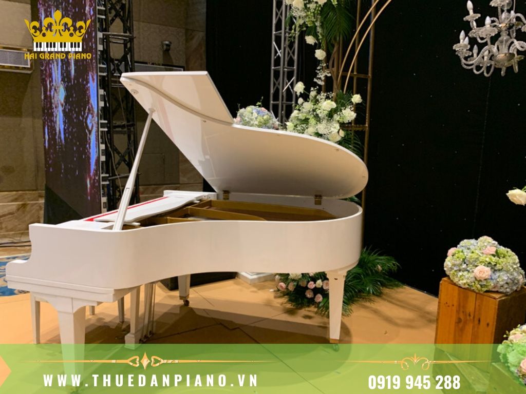 thue-piano-tiec-cuoi-4