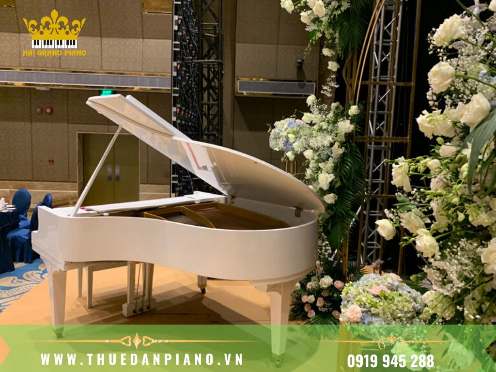 thue-piano-tiec-cuoi-6