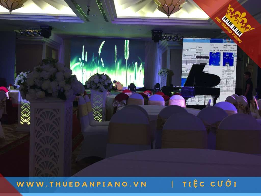 THUE-DAN-PIANO-2