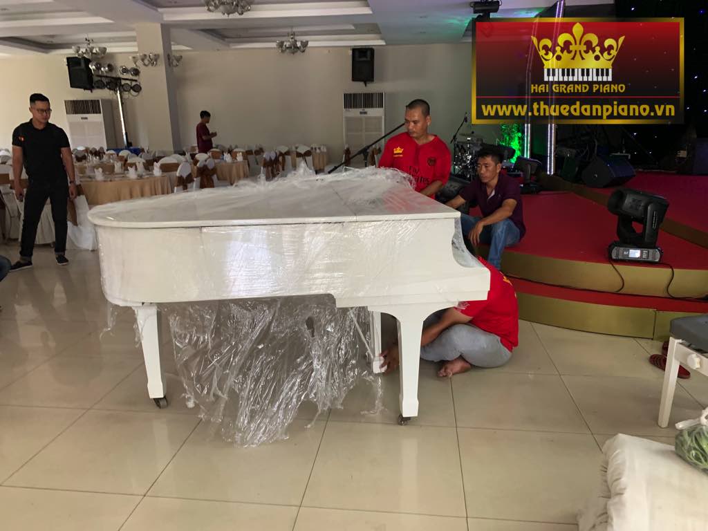 thue-dan-piano-kdl-tan-cang-1