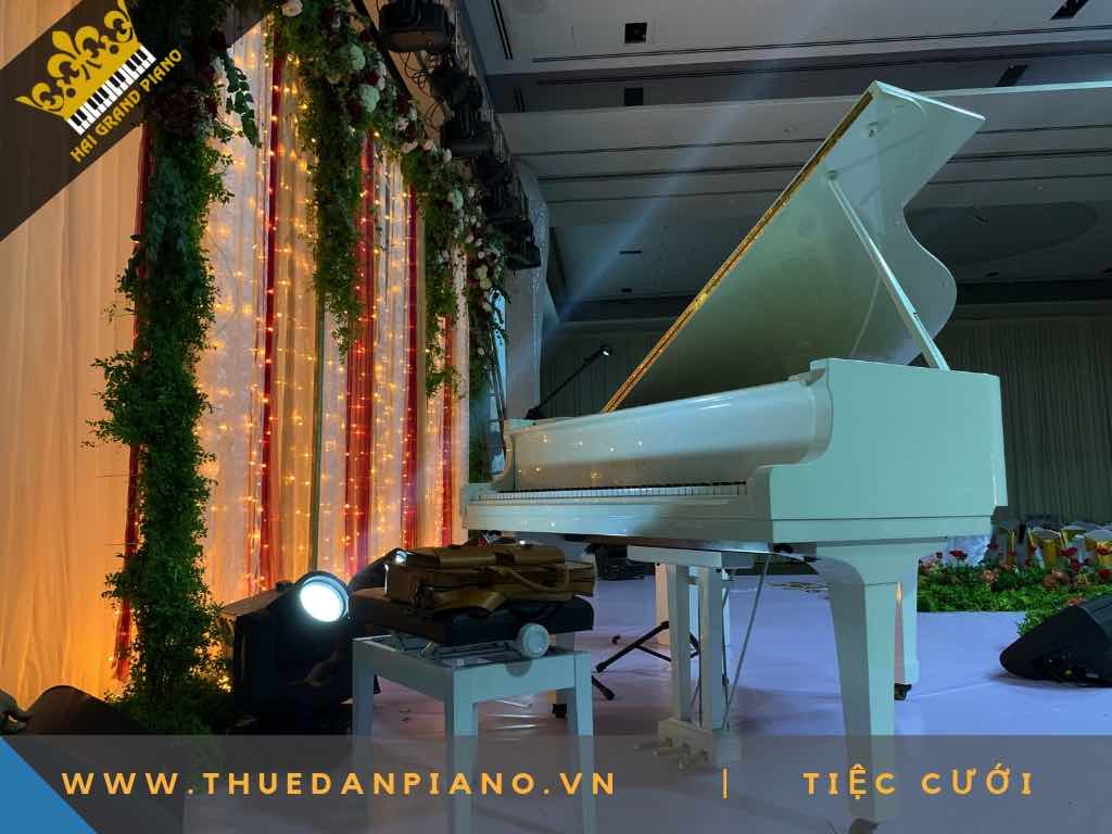 cho thue dan piano 1