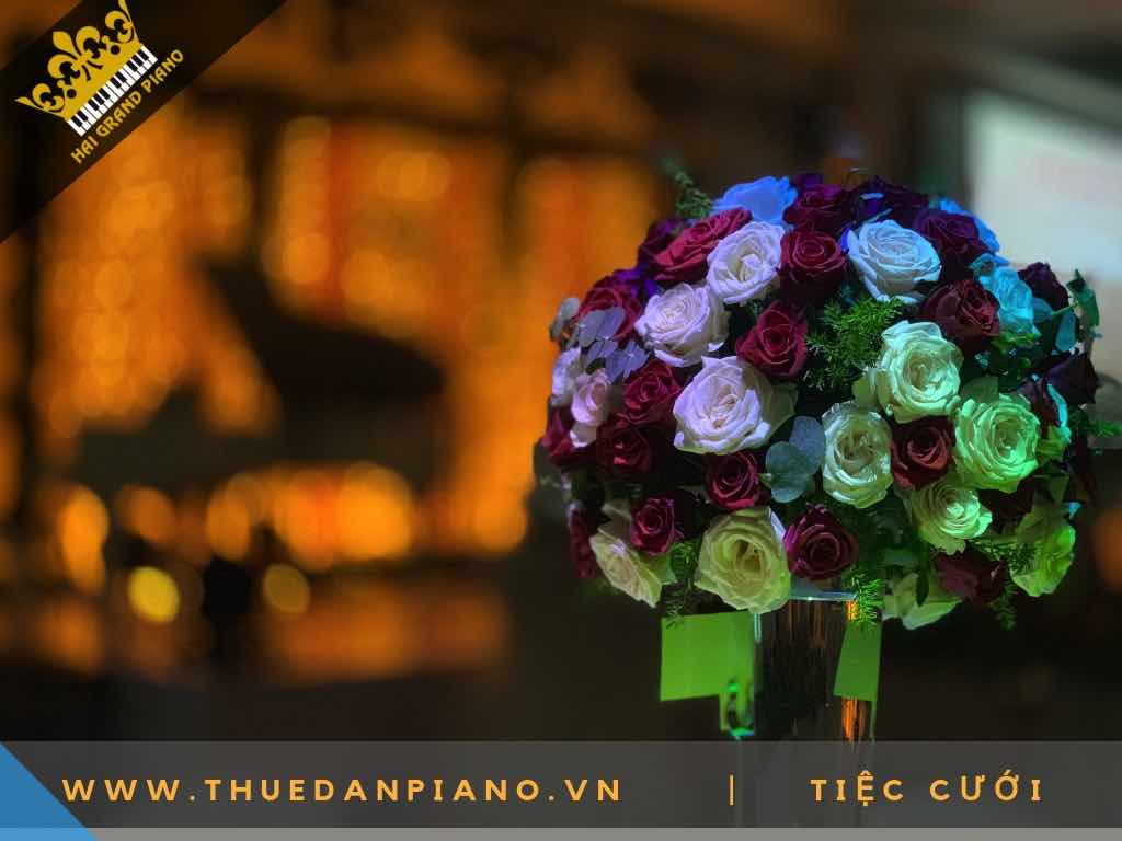 cho thue dan piano 10