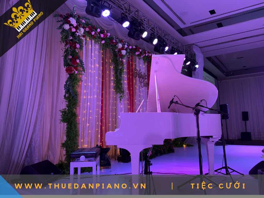 cho thue dan piano 13
