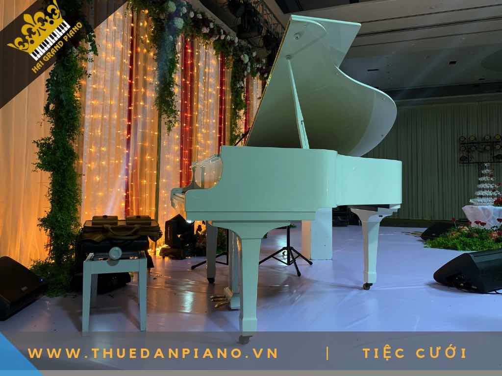 cho thue dan piano 2
