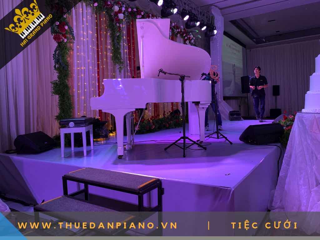 cho thue dan piano 3