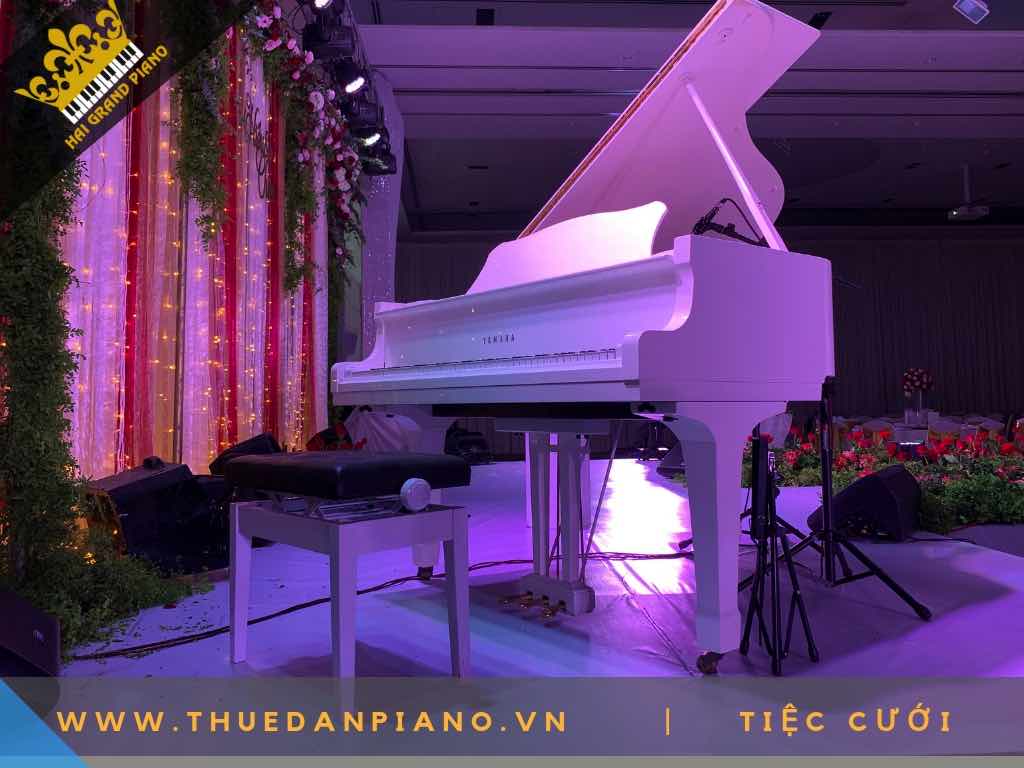cho thue dan piano 4