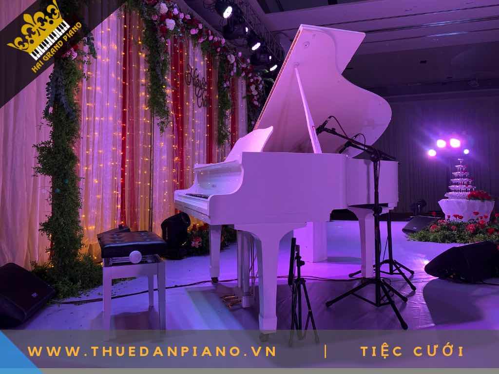 cho thue dan piano 5
