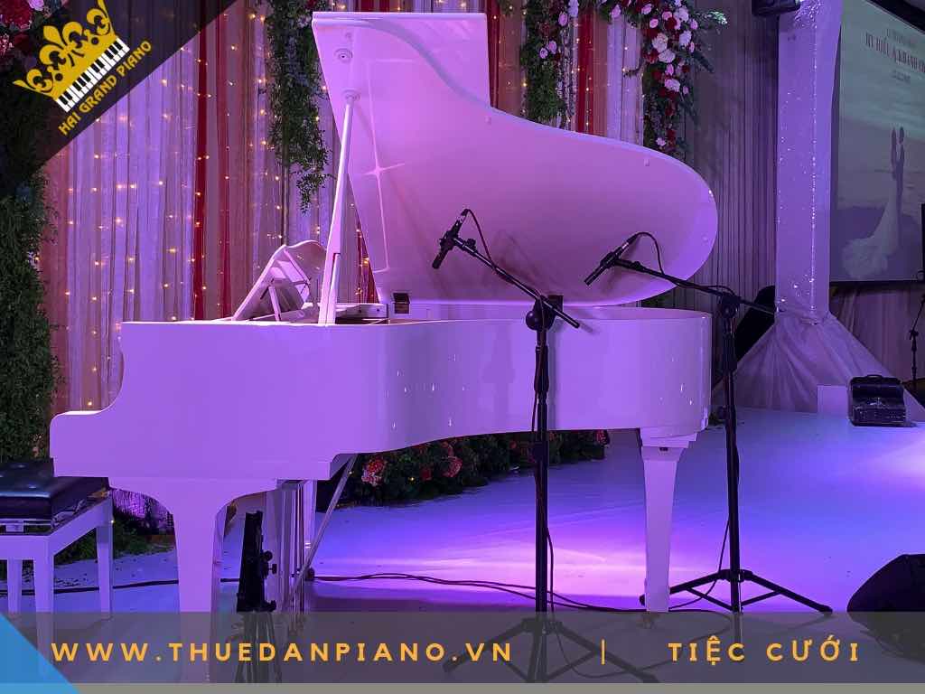cho thue dan piano 7