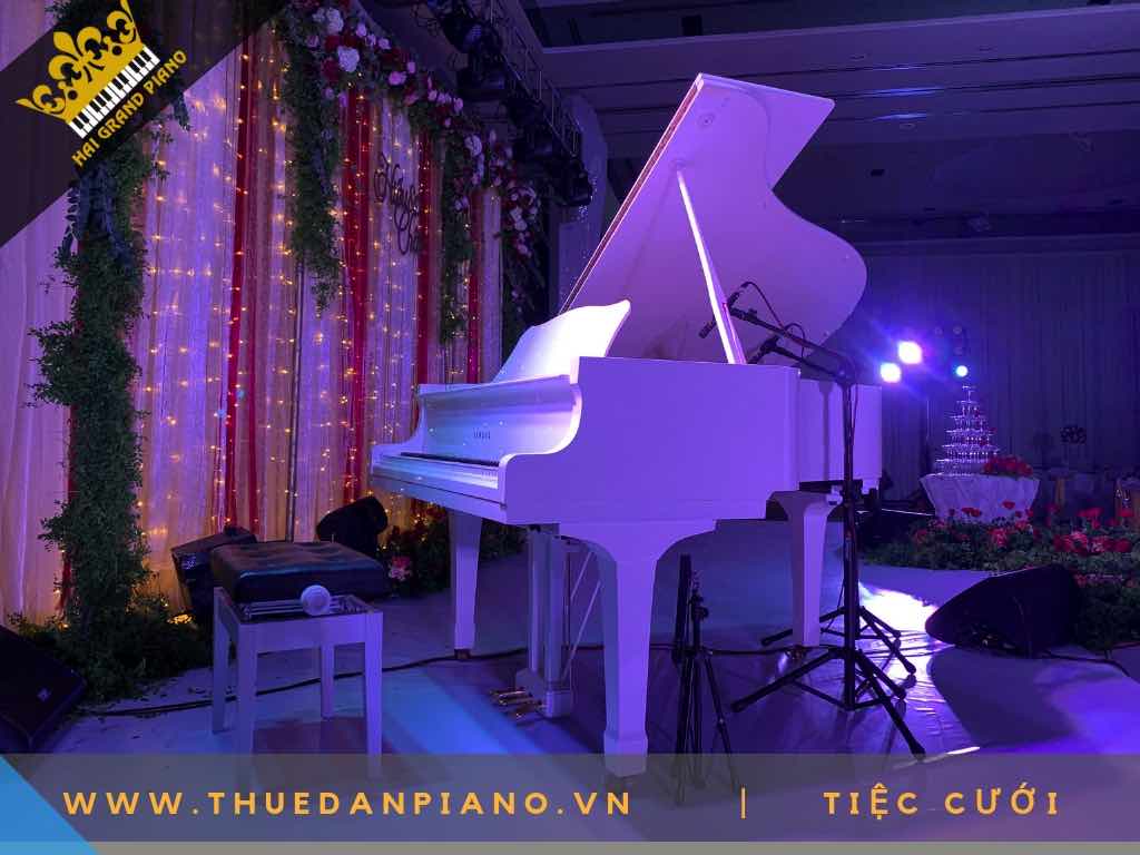 cho thue dan piano 8