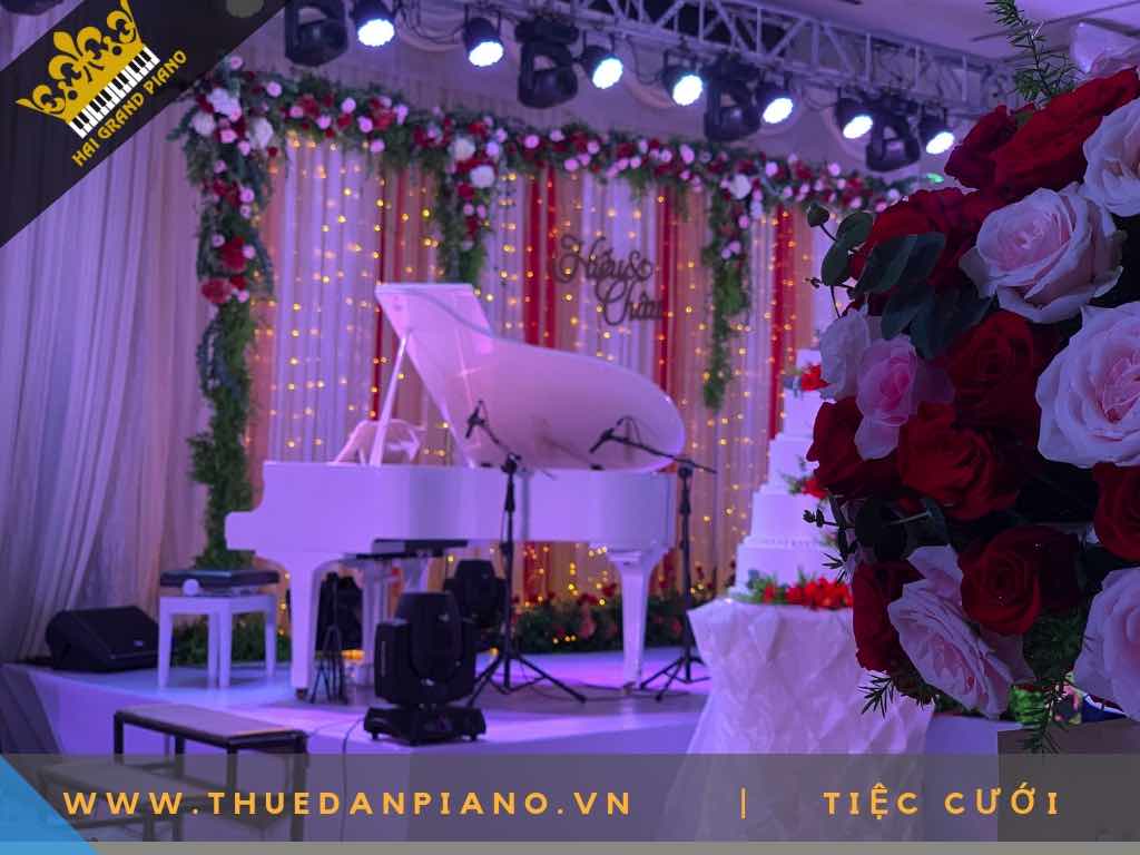 cho thue dan piano 9