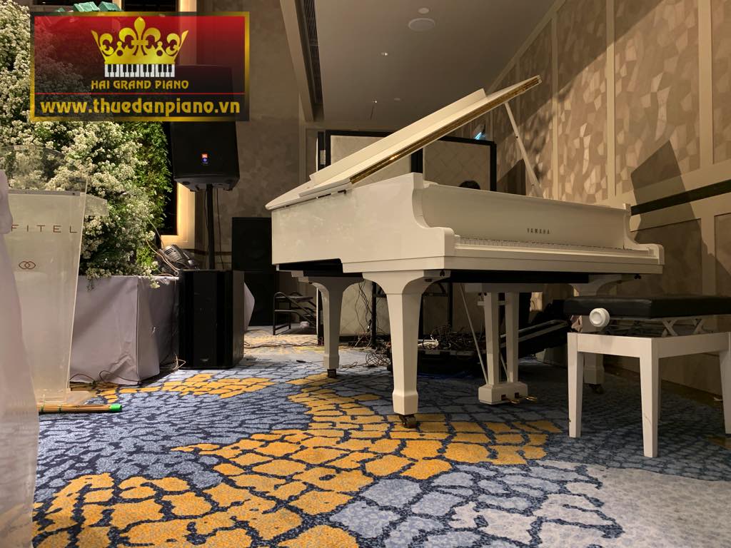 thue-dan-piano-g2-white-2