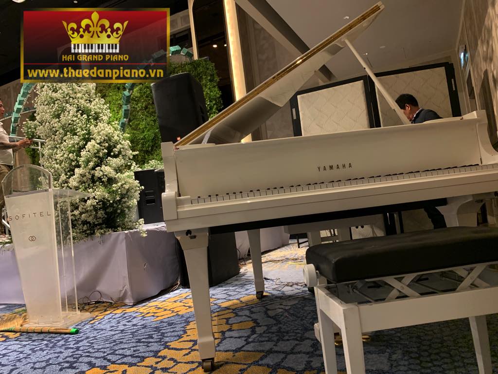 thue-dan-piano-g2-white-4