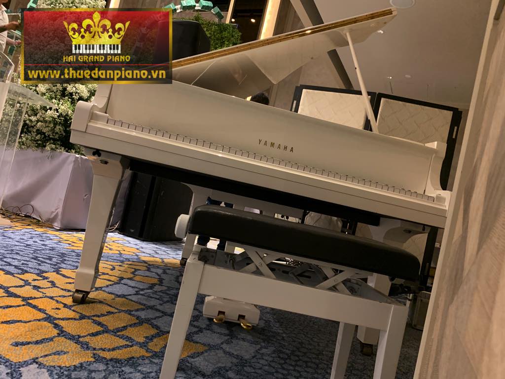 thue-dan-piano-g2-white-5