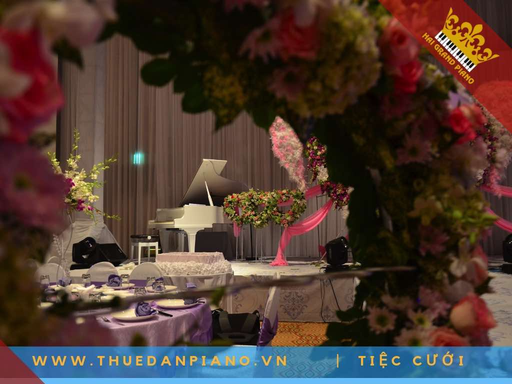 thue dan pịano tiec cuoi