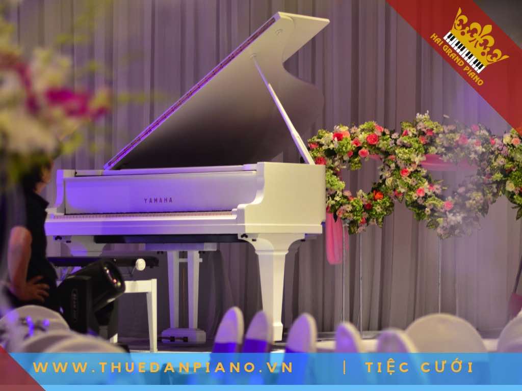 thue-dan-pịano-tiec-cuoi_007