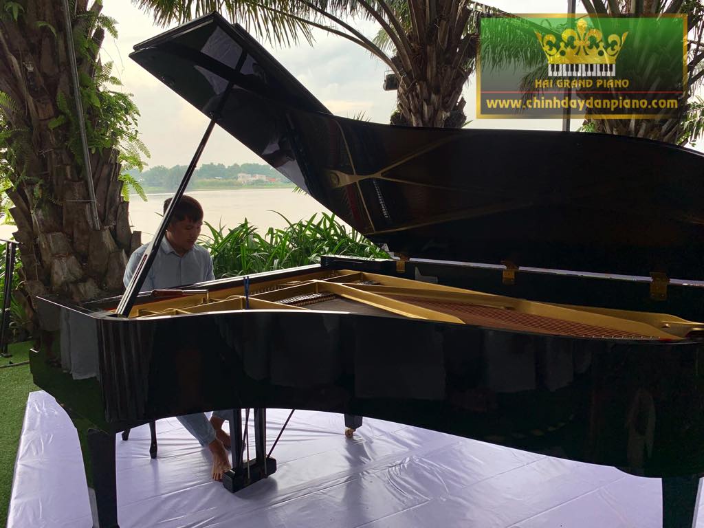 cho-thue-piano-c7-q2-2