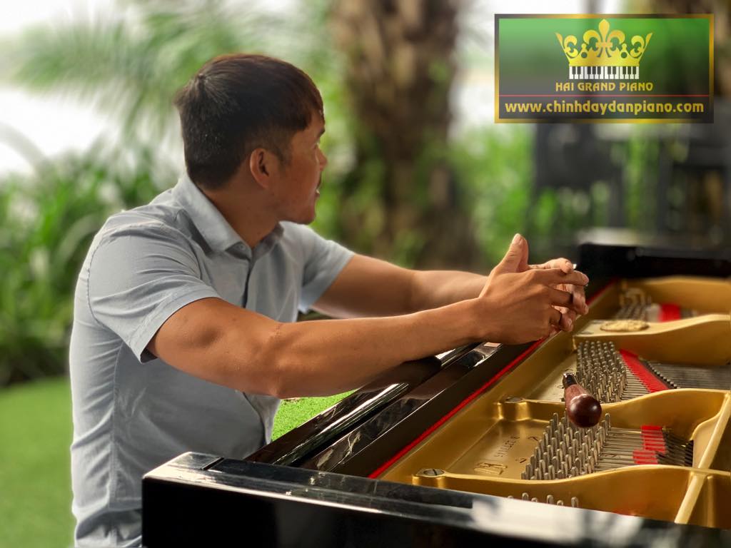 cho-thue-piano-c7-q2-5