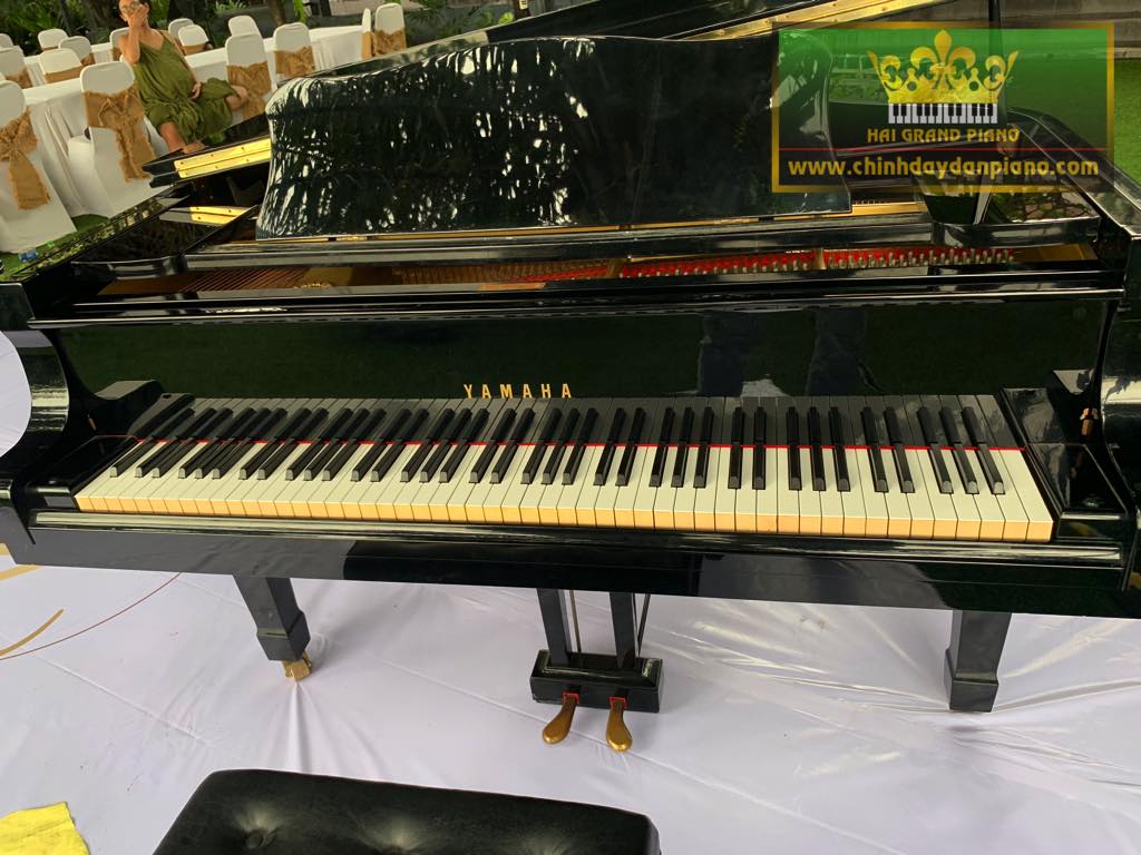 cho-thue-piano-c7-q2-6