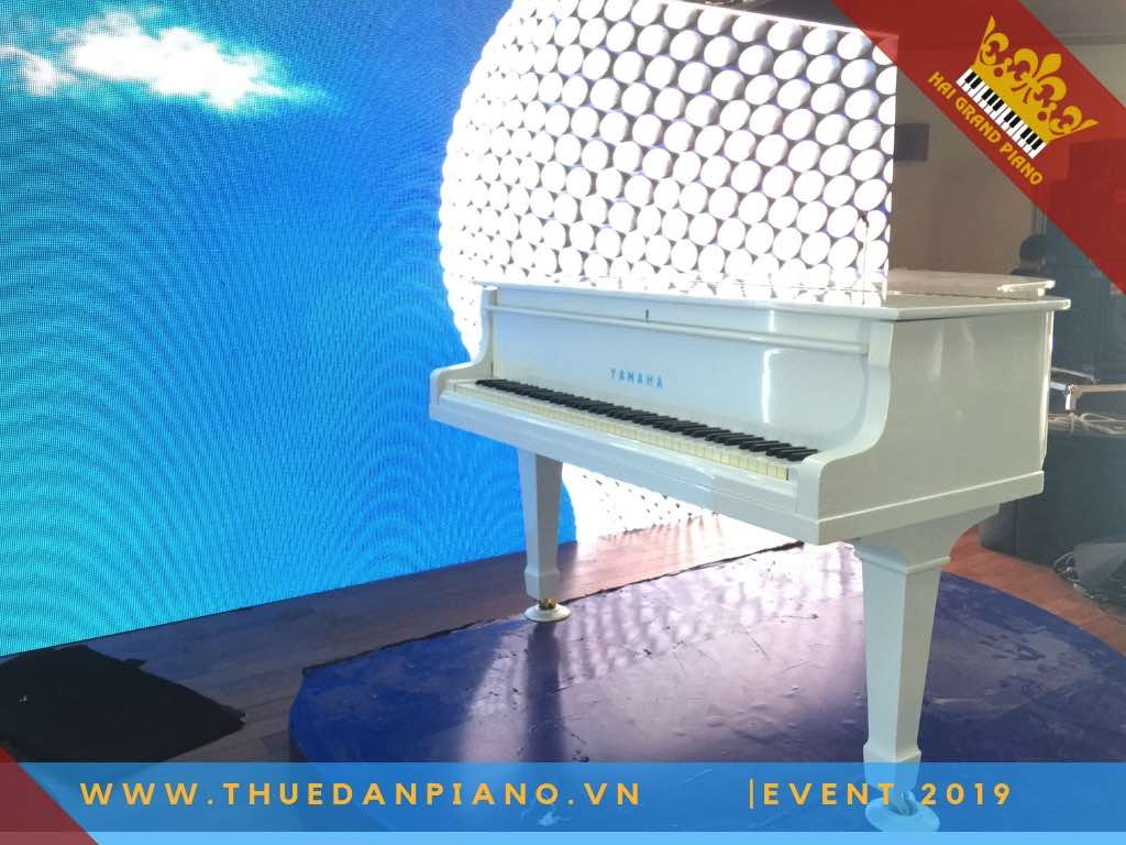 thue dan pịano event bieu dien q.tb_002