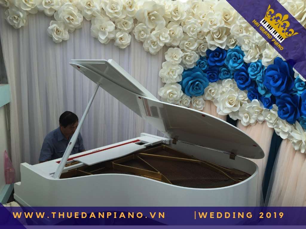 thue dan pịano tiec cuoi q3_001
