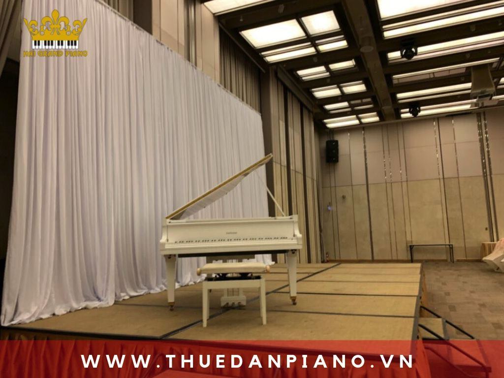 thue-piano-grand-quan-4_002