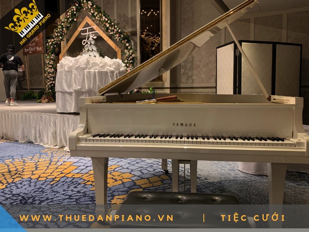 CHO THUE DAN PIANO WHITE 3