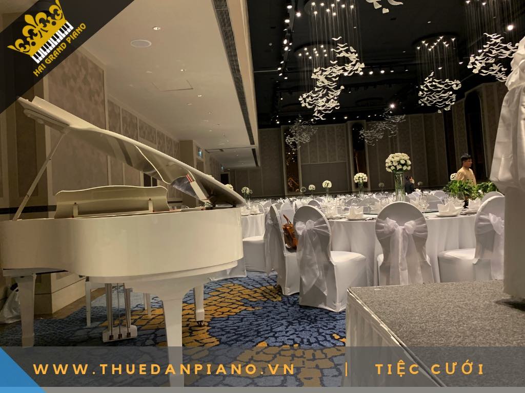 CHO THUE DAN PIANO WHITE 5