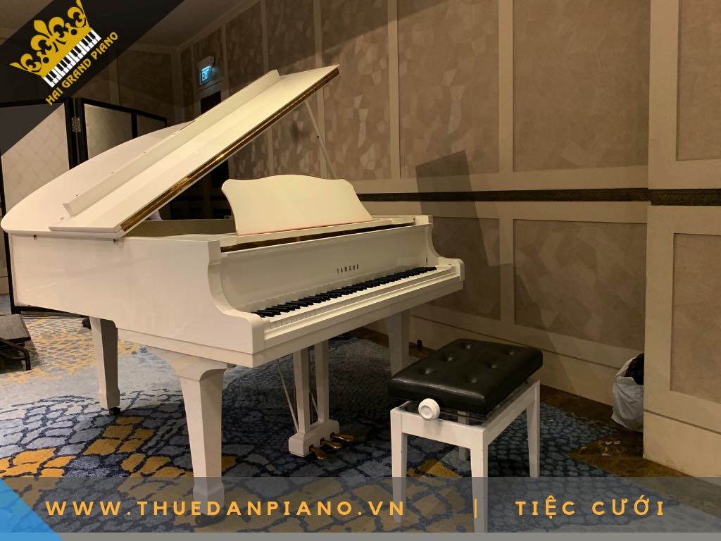 CHO THUE DAN PIANO WHITE 6