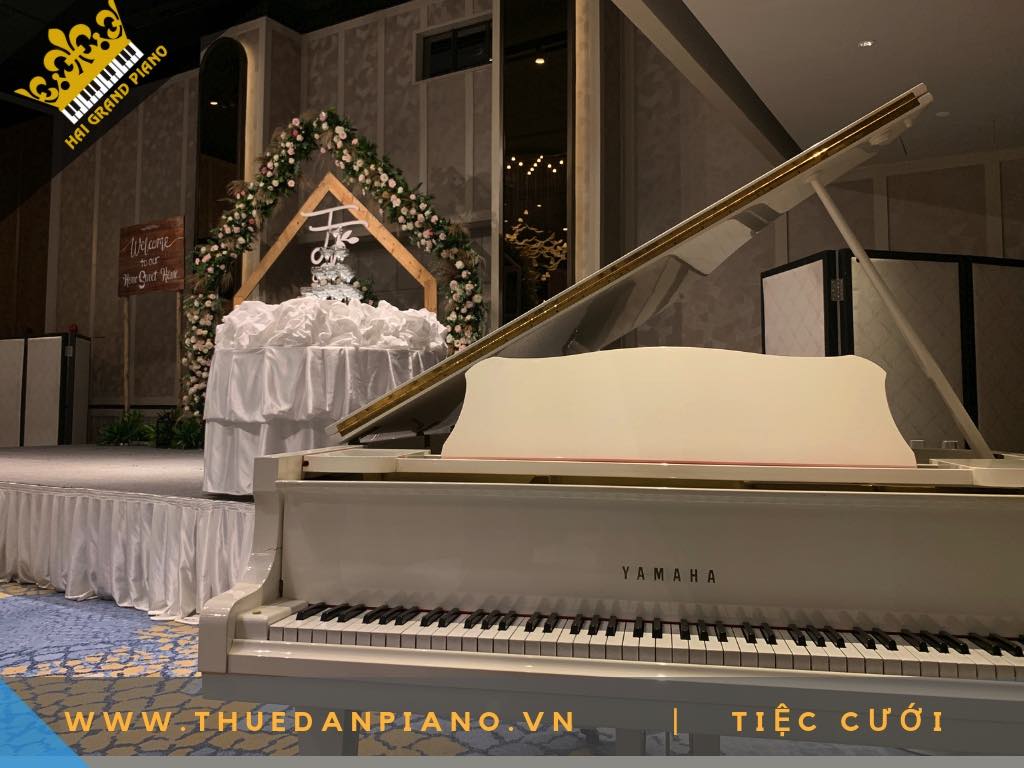 CHO THUE DAN PIANO WHITE 7