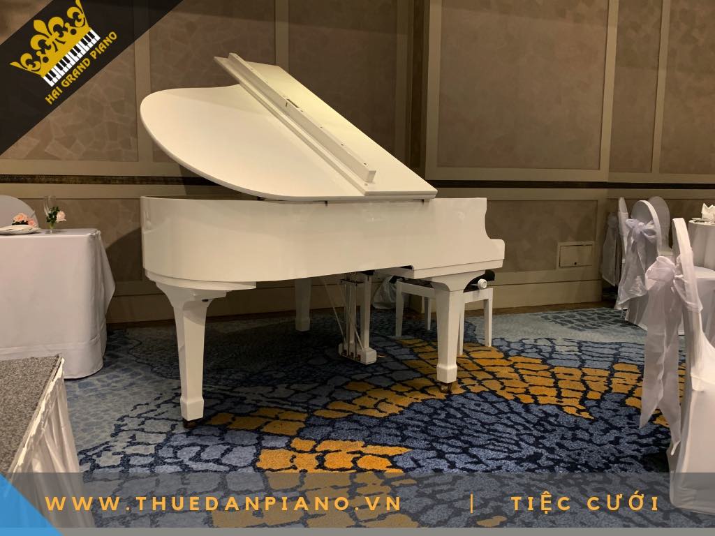 CHO THUE DAN PIANO WHITE 8