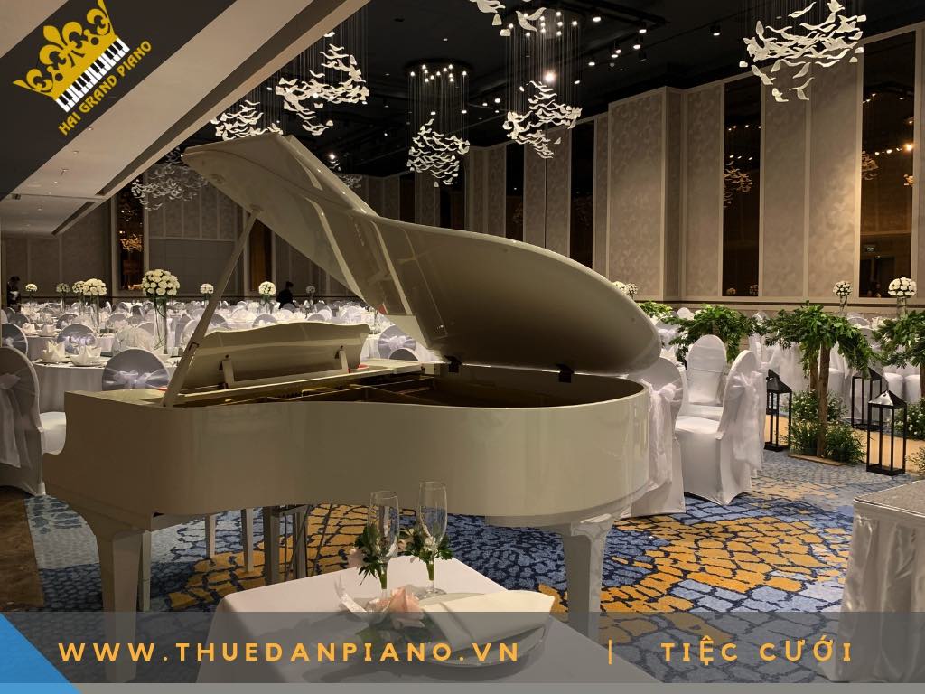 CHO THUE DAN PIANO WHITE 9