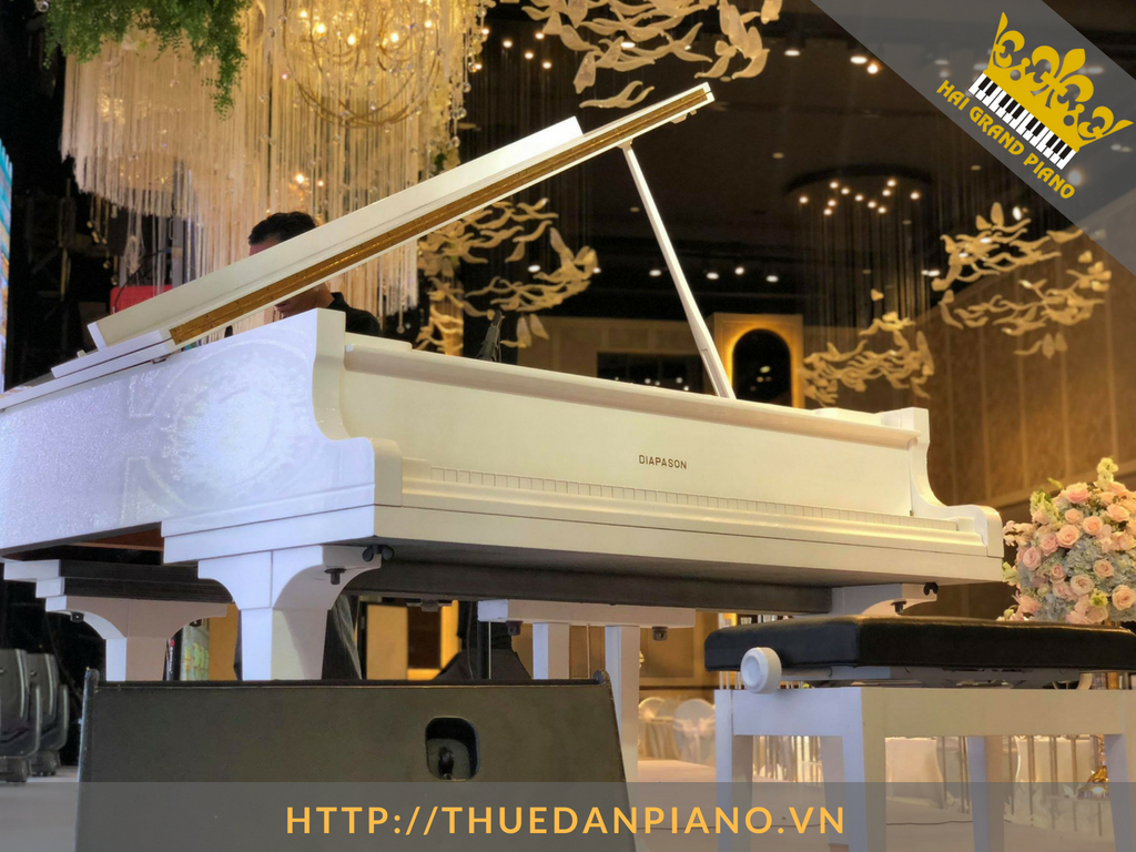 cho-thue-piano-grand-2