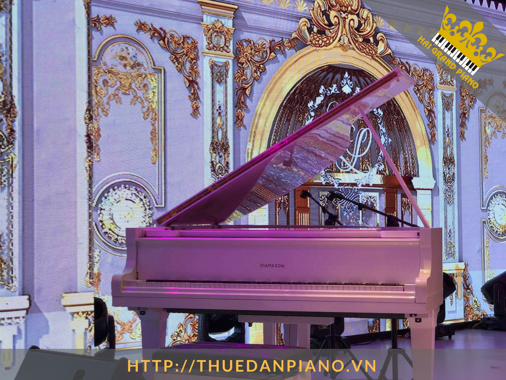 cho-thue-piano-grand-3