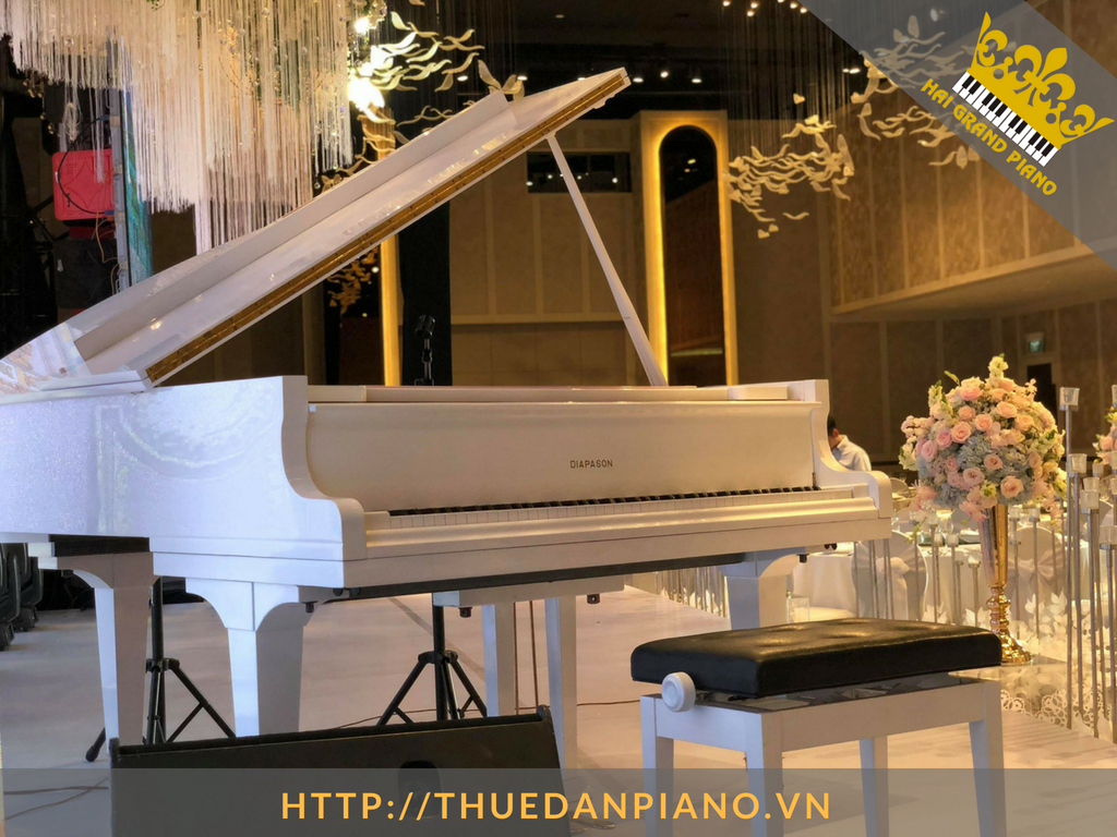 cho-thue-piano-grand-5