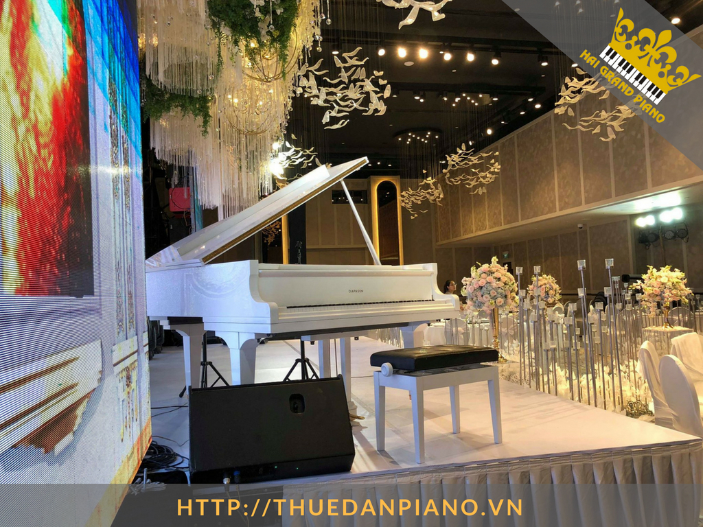 cho-thue-piano-grand-7