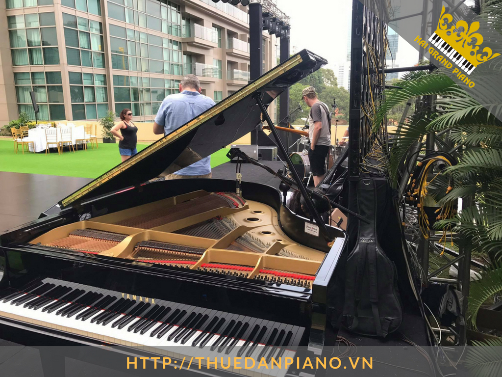 thue-dan-grand-piano-47