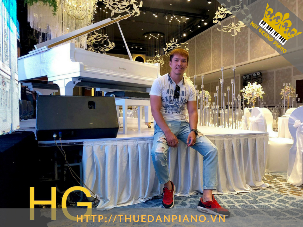 thue-dan-grand-piano-57
