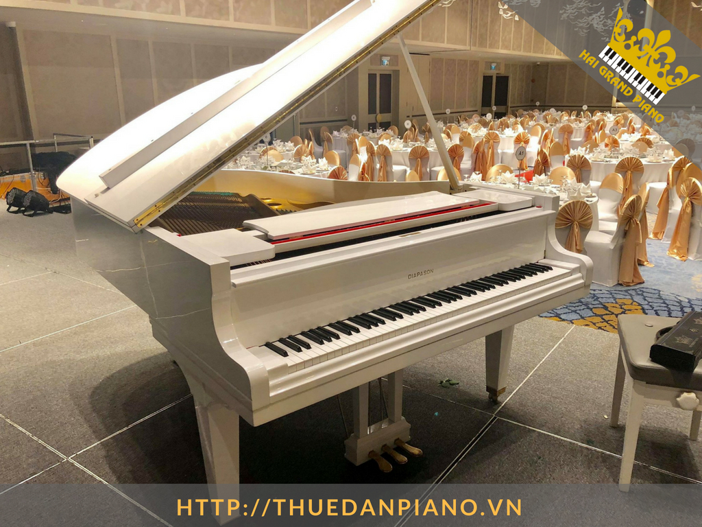 thue-dan-grand-piano-59