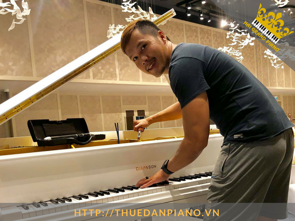 thue-dan-grand-piano-60