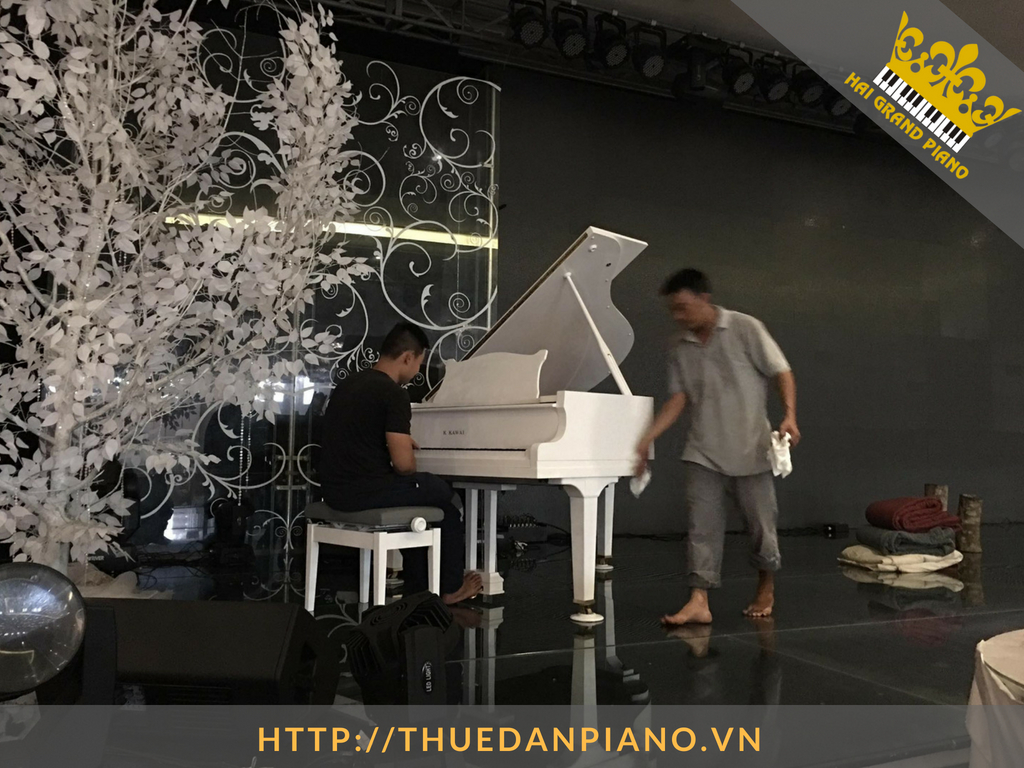 thue-grand-piano-2